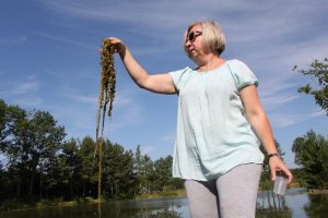 dr hab. Joanna Żelazna-Wieczorek prezentuje pobieranie roślinności z wody