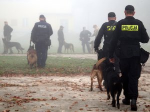 Zajęcia na kursach specjalistycznych dla przewodników psów służbowych w Sułkowicach - Zakład Kynologii Policyjnej.