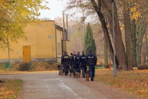 Policyjni przewodnicy z psami podczas szkolenia w Zakładzie Kynologii Policyjnej CSP w Sułkowicach