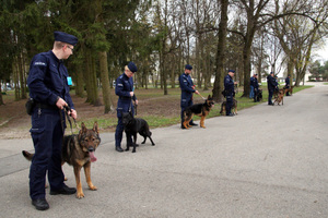 Policjanci z psami którzy przystąpili do kursu