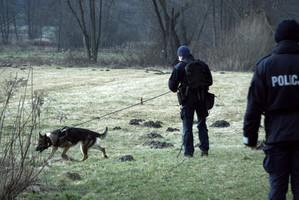 szkolenie psów służbowych w Sułkowicach