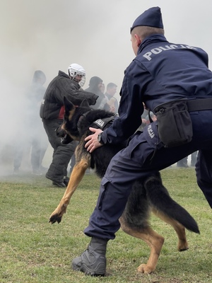 Policyjni pozoranci w trakcie ćwiczeń z psami służbowymi.